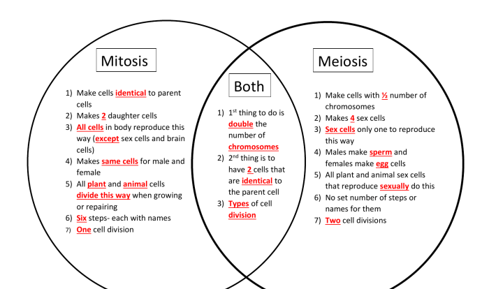 Meiosis mitosis venn diagram vs between similarities differences choose board fill teacherspayteachers preview