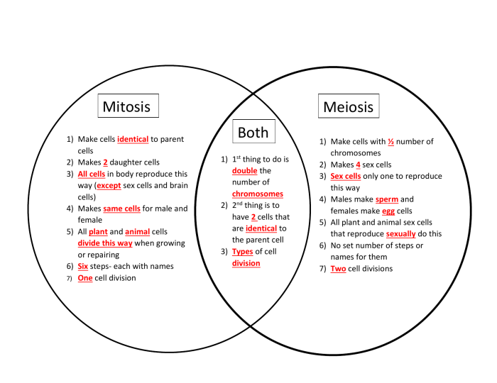 Meiosis mitosis venn diagram vs between similarities differences choose board fill teacherspayteachers preview