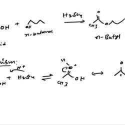 Acetic acid and 3 methyl 1 butanol