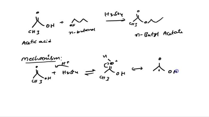 Acetic acid and 3 methyl 1 butanol