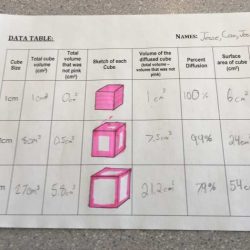 Table 1 rate of diffusion in corn syrup