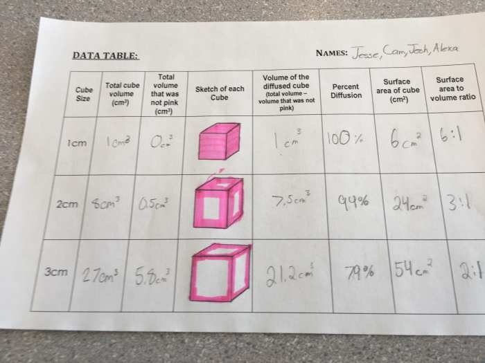 Table 1 rate of diffusion in corn syrup