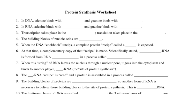 Protein synthesis crossword puzzle answers