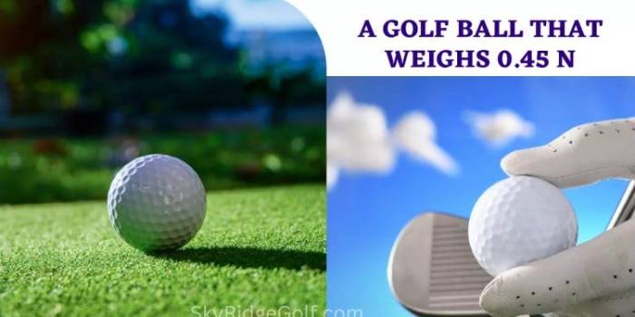 A golf ball that weighs 0.45 n