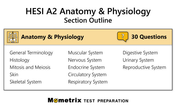 Hesi practice test fundamentals nursing