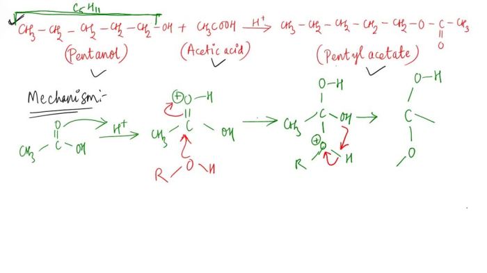 Acetic acid and 3 methyl 1 butanol