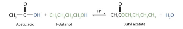 Butanol methyl toppr