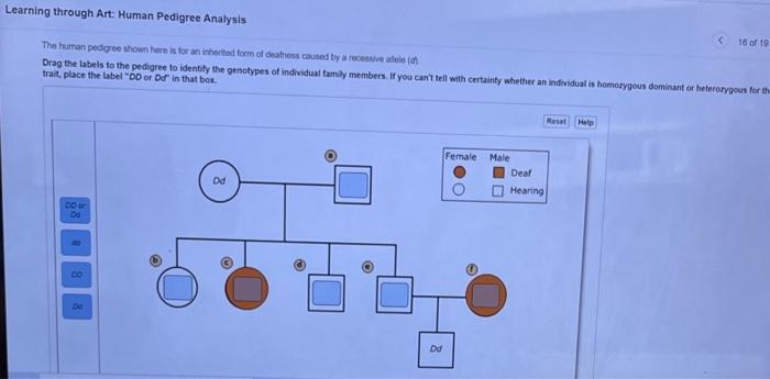 Inheritance pedigree mendelian trait dominant autosomal offspring