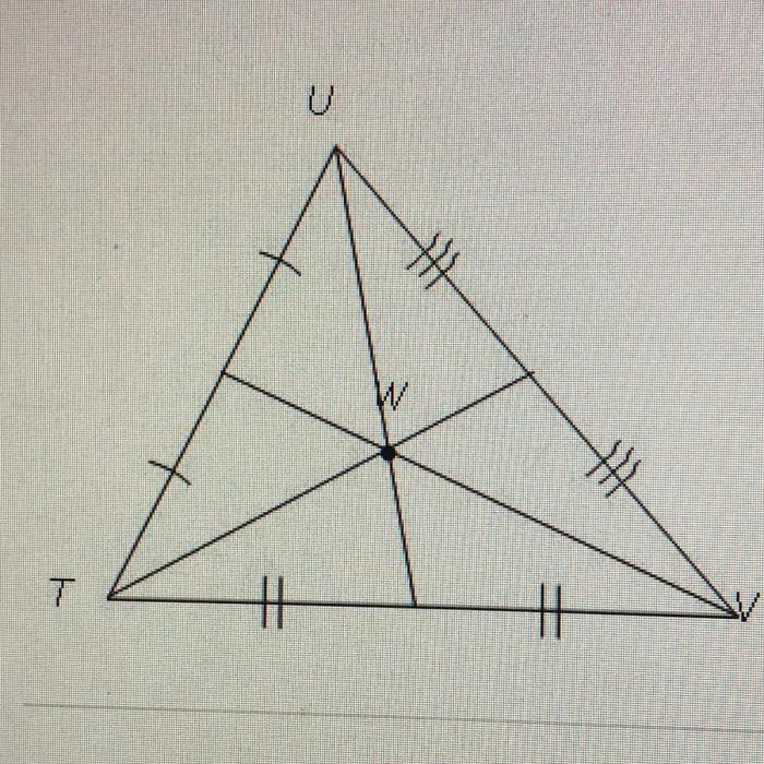 The diagram shows tuv which term describes point w