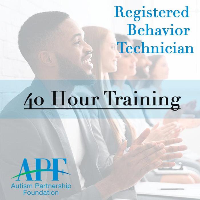 Autism partnership foundation 40-hour training