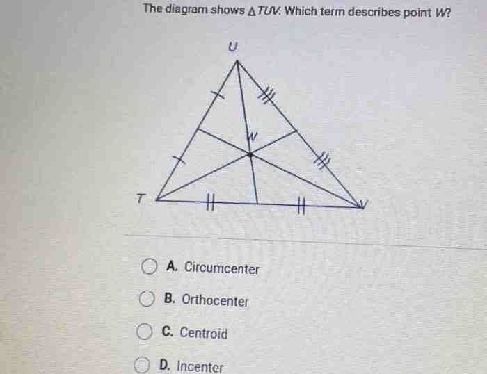 Orthocenter describes term diagram point shows which wxy incenter circumcenter