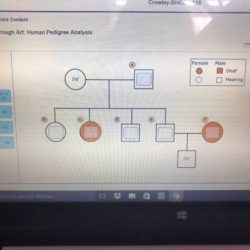 Pedigree shown human inherited deafness allele form recessive below label cause individual solved identify genotypes family members answers transcribed text