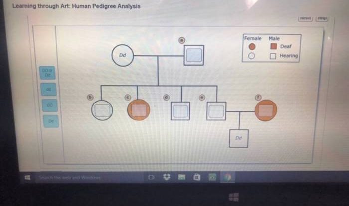 Pedigree shown human inherited deafness allele form recessive below label cause individual solved identify genotypes family members answers transcribed text