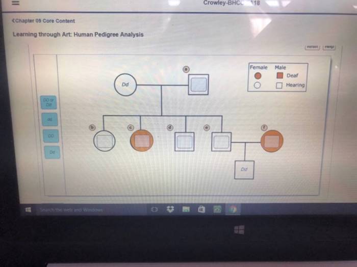 Pedigree shown human inherited deafness allele form recessive below label cause individual solved identify genotypes family members answers transcribed text