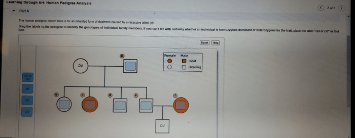 Learning through art human pedigree analysis